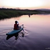 Marais de Kaw en Guyane au leve du soleil. En canoe et en kayaks.