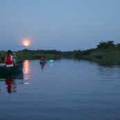 Marais de Kaw en Guyane au leve du soleil. En canoe et en kayaks. Lune en arriere plan. Leve de lune.