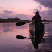 Marais de Kaw en Guyane au leve du soleil. En canoe et en kayaks. Lune en arriere plan.