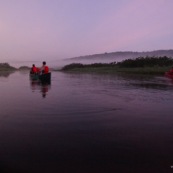 Marais de Kaw en Guyane au leve du soleil. En canoe et en kayaks. Lune en arriere plan.