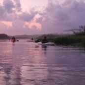 Marais de Kaw en Guyane au leve du soleil. En canoe et en kayaks.