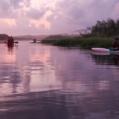 Marais de Kaw en Guyane au leve du soleil. En canoe et en kayaks.