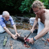 Peche a l'Aymara. Hoplias aimara. En Guyane, foret tropicale amazonienne. Personnes en train de decouper le poisson avec une machette (sabre).