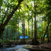 Carbet bache en Guyane (hamac tendu entre deux arbres et bache en plastique tendue au dessus). Riviere (crique) et foret tropicale amazonienne.