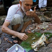 Peche a l'Aymara. Hoplias aimara. En Guyane, foret tropicale amazonienne. Peche avec une trappe. Poisson en train d'etre mange apres cuisson sur le feu.