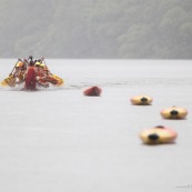 Course de pirogue en Guyane a Montsinery tonnegrande. P12 et P4 (12 places et 4 places). Organise par le club de canoe kayak et pirogue de Cayenne (ASPAG). Deguisements des equipages.