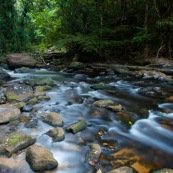 Riviere en Guyane, foret tropicale amazonienne, femme sur un rocher, dans la foret. Crique Memora.