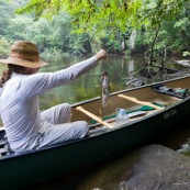 En canoe, peche a l'Aymara. Hoplias aimara. Homme en canoe ayant attrapé un poisson. En Guyane, foret tropicale amazonienne.
