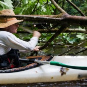 Kayak, kayaliste, en Guyane, foret tropicale amazonienne. Sur une riviere (crique). En train de couper un arbre tombe sur la riviere (chablis) avec une machette (sabre).