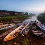 Debarcadere au marais de kaw. Guyane. Au lever du jour. Maison du parc naturel et pirogues, bateaux.