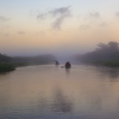 Marais de kaw en Guyane au lever du soleil. En canoe et kayak. Tourisme. Touristes.