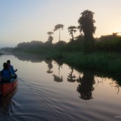 Marais de kaw en Guyane au lever du soleil. En canoe et kayak. Tourisme. Touristes.