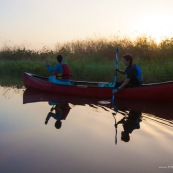 Marais de kaw en Guyane au lever du soleil. En canoe et kayak. Tourisme. Touristes.