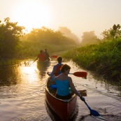 Marais de kaw en Guyane au lever du soleil. En canoe et kayak. Tourisme. Touristes.