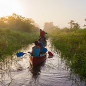 Marais de kaw en Guyane au lever du soleil. En canoe et kayak. Tourisme. Touristes.