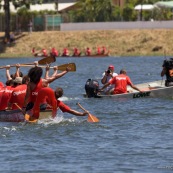 Competition de pirogue a Kourou (Guyane francaise) : les maitres de la pagaie. Sur le lac bois chaudat. Pirogue : P12 (12 places).