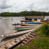 Course de pirogue en Guyane a Montsinery tonnegrande. P12 et P4 (12 places et 4 places). Organise par le club de canoe kayak et pirogue de Cayenne (ASPAG). Deguisements des equipages.