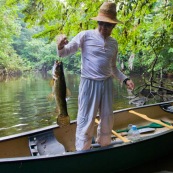 En canoe, peche a l'Aymara. Hoplias aimara. Homme en canoe ayant attrapé un poisson. En Guyane, foret tropicale amazonienne.