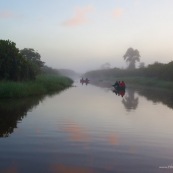 Marais de kaw en Guyane au lever du soleil. En canoe et kayak. Tourisme. Touristes.