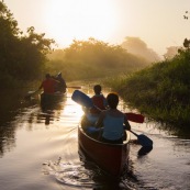 Marais de kaw en Guyane au lever du soleil. En canoe et kayak. Tourisme. Touristes.