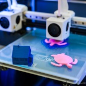 Imprimante 3D. Impression 3D plastique. Double extrusion.  Impression d'une tortue.