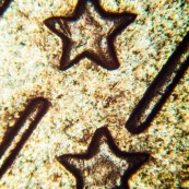 Pièce de 50 centimes au microscope