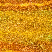 Pétale de fleur jaune au microscope : cellules végétale, composition graphique, tableau végétal.