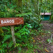 Toilettes en espagnol : banos. Dans la foret.