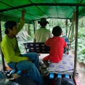 En voiture a cheval au milieu de la jungle bolivienne. Foret tropicale. Bolivie. Ecotourisme.