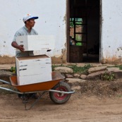 Dans la campagne bolivienne, un couple trasnporte de nouvelles ruches. Pour eux, c'est une alternative à la déforestation pour la culture de riz ou autre. L'apiculture est un moyen de protéger la forêt tout en assurant des revenus. Initiative de Fundacion Natura Bolivia. Bolivie.