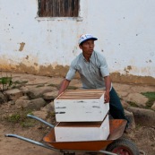 Dans la campagne bolivienne, un couple trasnporte de nouvelles ruches. Pour eux, c'est une alternative à la déforestation pour la culture de riz ou autre. L'apiculture est un moyen de protéger la forêt tout en assurant des revenus. Initiative de Fundacion Natura Bolivia. Bolivie.