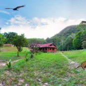 Panorama bassin amazonien maison dans la foret avec animaux. Paysage. Perou.