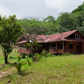 Maison en bois en foret tropicale. Carbet. Au Perou.