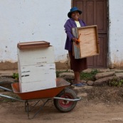 Dans la campagne bolivienne, un couple trasnporte de nouvelles ruches. Pour eux, c'est une alternative à la déforestation pour la culture de riz ou autre. L'apiculture est un moyen de protéger la forêt tout en assurant des revenus. Initiative de Fundacion Natura Bolivia. Bolivie.