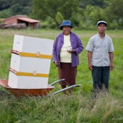 Dans la campagne bolivienne, un couple trasnporte de nouvelles ruches. Pour eux, c'est une alternative à la déforestation pour la culture de riz ou autre. L'apiculture est un moyen de protéger la forêt tout en assurant des revenus. Initiative de Fundacion Natura Bolivia. Bolivie.