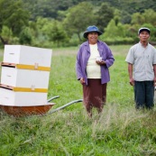 Dans la campagne bolivienne, un couple trasnporte de nouvelles ruches. Pour eux, c'est une alternative à la déforestation pour la culture de riz ou autre. L'apiculture est un moyen de protéger la forêt tout en assurant des revenus. Initiative de Fundacion Natura Bolivia. Bolivie.