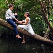 Jeunes mariés sur un arbre au dessus d'une crique rivière en Guyane