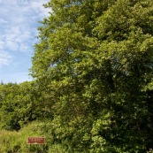 EntrÈe de la forÍt domaniale de Desvres, panneau de l'ONF.