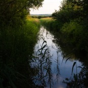 Canal dans les marais de Guines.