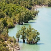 Vue sur le lac de Barrea. Italie, abords du parc national des Abruzzes (Parco Nationale díAbruzzo, Lazio e Molise). Lac de montagne. Paysage. Eau turquoise, l'ÈtÈ. Lac artificiel. Arbres ayant les pieds dans l'eau.