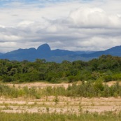 Au loin : parc national AMboro en Bolivie.