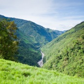 Paysage champetre en montagne avec rivière et paturage.