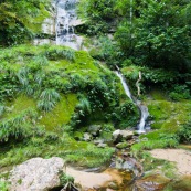 Cascade en forêt tropicale.