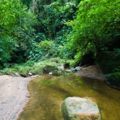 Forêt tropical rivière caillou dans l'eau.