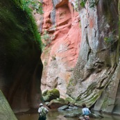 Expedition a pied en foret tropicale (jungle) avec traversee d'une riviere. Trois personnes. Randonnee. Bolivie.