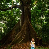 Auprès de mon arbre