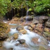 Cascade en forêt tropicale.