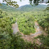 Forêt tropicale avec rivière qui forme un U. Parc national Amboro en Bolivie.