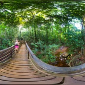 Panorama sentier du Rotota Guyane française 360° visite virtuelle avec jogger, rivière et anumaux.
