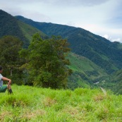 Homme dans un paturage de montagne, regardant au loin.